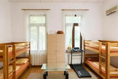 EXCLUSIVITATE | Casa 7 camere|  | Armeneasca | 230 utili | Curte 50mp - 1