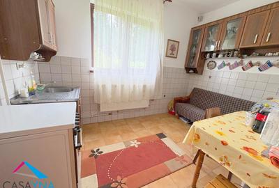 Proprietate deosebita in Luncani | Casa P+M | Teren 2553 mp - 6