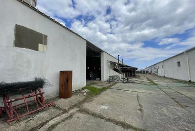 Hala Industrială / Agricolă | 800 MP Construcție + 800 MP Teren | - 8