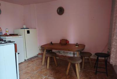 Proprietate de vacanta Valea Oltului - BREZOI - 16