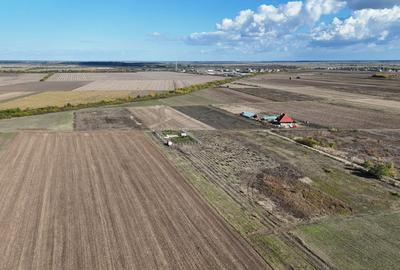 Refugiu la marginea padurii — 2822 mp de liniste in Cocani. - 9