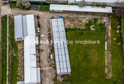 Hale depozitare/producție 2.000 mp si 10.000 mp teren în Pecica - 4