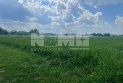 Teren intravilan | 7000 MP | Frătăuții Vechi, Suceava - 1