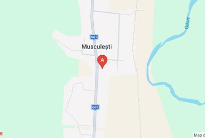 Casă individuală cu 4 camere în Musculești