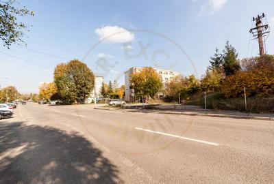 Teren stradal pe colț - Ideal afacere - front stradal mare - 11
