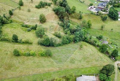 Teren 6,865mp Voroneț / Gura Humorului / Bucovina - 17