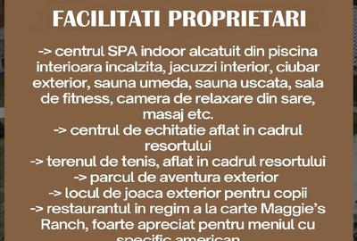 Apartamente de Vacanta - Rasnov Brasov - 15