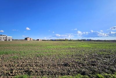 Teren intravilan Balotesti / 5.000 mp / D: 18 m / langa lac / comision 0% - 9
