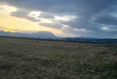 TEREN 1049 mp - INTRAVILAN DE CONSTRUCTII - 7