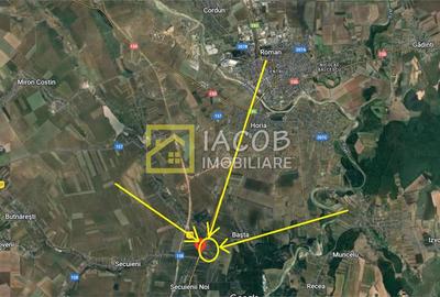 Teren intravilan, 8333 mp, la E85, comuna Secuienii Noi, jud. Neamt - 8