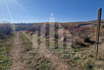 Teren intravilan | De vanzare | 3900 mp | 17 ml deschidere | Cetate - 4