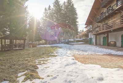 Vilă istorică, proiectată de arhitectul Emil Nădejde în Timișu de Sus - 1