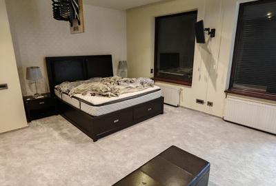 Penthouse Herastrau - 13