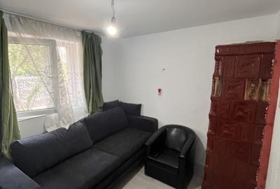 Casa de vacanta - Munteni Buzau - Jutetul Ialomita - Curte 2000mp - 10