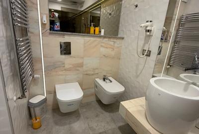 Apartament 2 camere de inchiriat Grozavesti(Novum) - 29