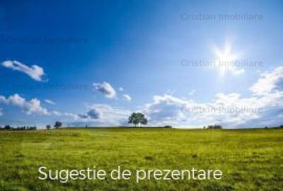 Teren intravilan de constructii, Chiscani, St - 2200 mp, deschidere 50 m - 5