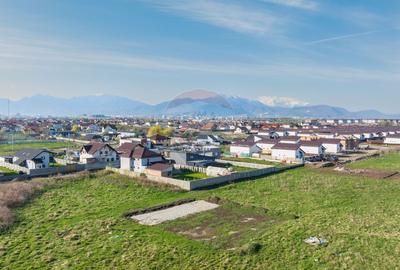 Teren Sanpetru, str Armoniei, 539mp, cu proiect casa si avize in lucru - 6