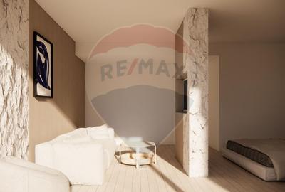 Vanzare  STUDIO-DEZVOLTATOR - 2