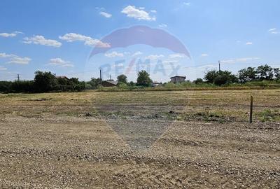 Terenuri intravilane Frumușani – Preț excelent, investiție sigură! - 2