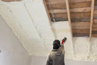 Allegria-doar 1.4km A0,liniste,acces rapid Bucuresti! - 3