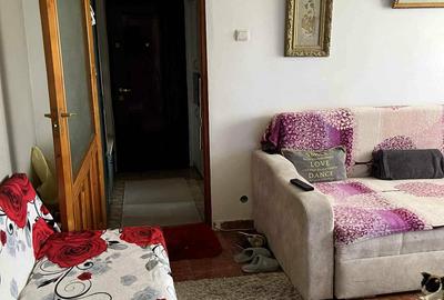 Apartament cu 2 camere, zona Alexandru cel Bun - 4
