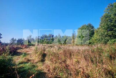 TEREN INTRAVILAN | FRATĂUȚII NOI | 1.1 HA - 10