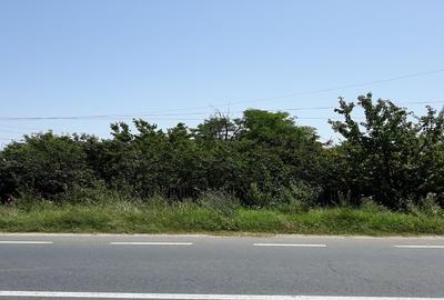 Teren Construcții intravilan de 927 mp, în Valea Plopilor - 1