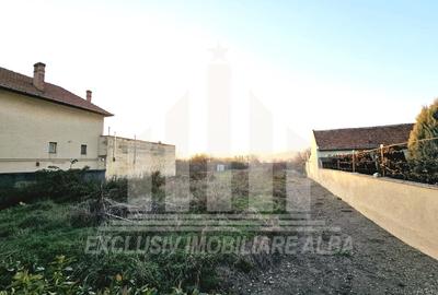 Teren intravilan | De vanzare | 2950 mp | 22 ml deschidere | Partos - 3