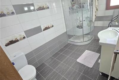 Te muti fara investitii: casa tip duplex si curte amenajata in Valea Lupului - 20