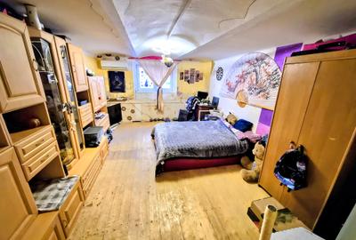 Apartament cu 1 cameră, zona Bălcescu, spațios, cu grădină - 9
