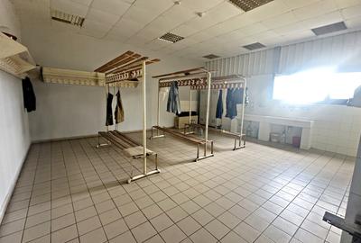 Hala de productie sau depozitare,de inchiriat,2 minute de Calea Borsului,Santion - 7