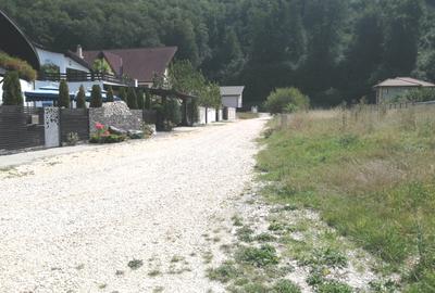 Teren Construcții intravilan de 6800 mp, în Săcele