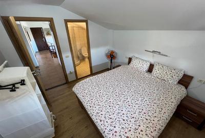 Casa de vacanta P+M ,exploatatie agricola - 5