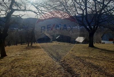 Teren 10,279 mp Bran- Predelut / Strada Pe Tarina nr. 70A - 9