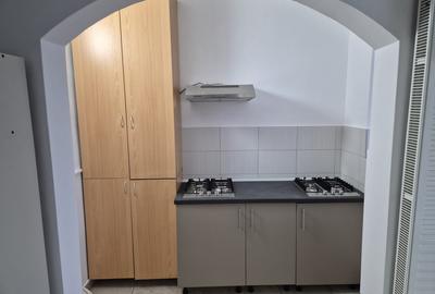 Casa formata din 2 apartamente in Jucu, spatiu comercial in acte - 4