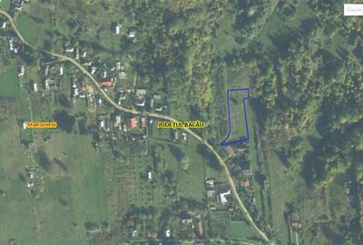 Teren 2033 mp- langa padure-  Margineni- Podis Dubas - 1