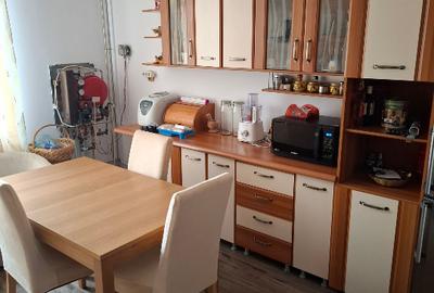 Vanzare casa Dr Tr Severin - 14