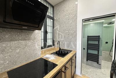 Apartament tip loft | Piata Unirii - 4