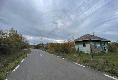 Teren Construcții intravilan de 6975 mp, în Moșoaia