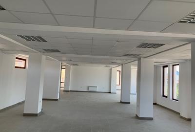 CLADIRE DE INCHIRIAT, SITUATA CONVENABIL, VAD COMERCIAL - 9