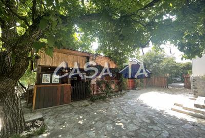 Proprietate Exclusivista situata in Lelesti , Gorj - 12
