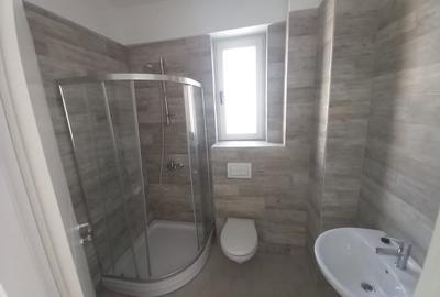 Apartament cu doua camere si gradina, Visoianu