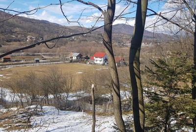Teren de 10200mp,intravilan , cu deschidere la asfalt - 4