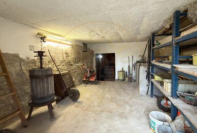 De vânzare 2 Case de vinificație cu Teren 4108 mp - Grădina Viilor - Carei - 8