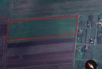 Teren in Halchiu langa Brasov - 1