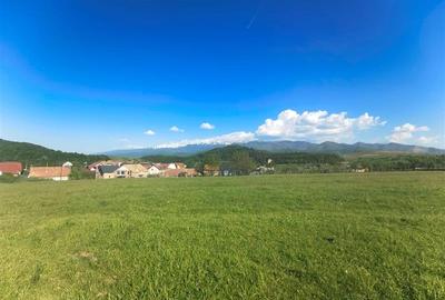 Teren intravilan de vanzare in  cartier Armeni Talmaciu - 4