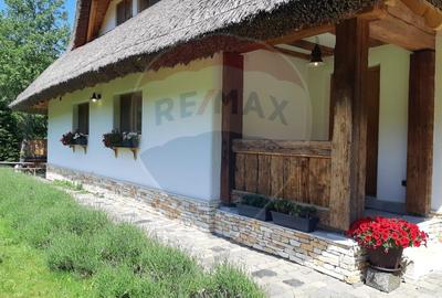 Casă cu arhitectura traditionala romaneasca I Salicea I Cluj - 26