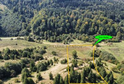 Teren Paraul Rece Rasnov 5.300mp | Priveliste | Extravilan | Curent - 4