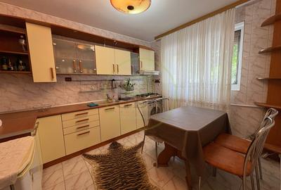 Casa, D+P+1+M , 240 mp, Cartier Valea Rosie, Zona Liceul Traian Vuia - 12