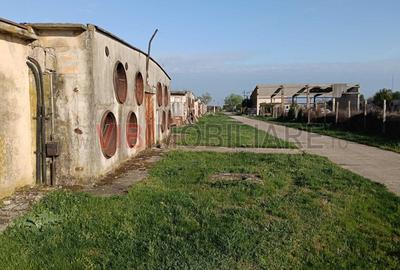 Ferma avicola inchiriere sau vanzare, localitatea Calacea - 4